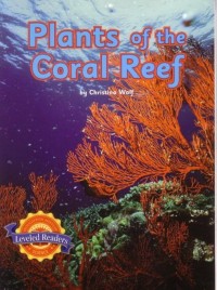 Image of Plants of the coral reef