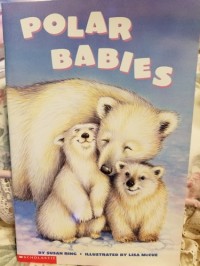 Image of Polar Babies