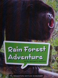 Image of Rain forest adventure