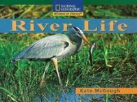 Image of River Life