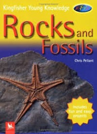 Image of Rocks and Fossils