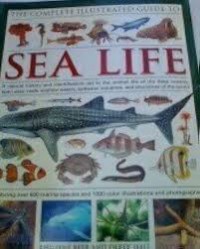 Image of Sea Life