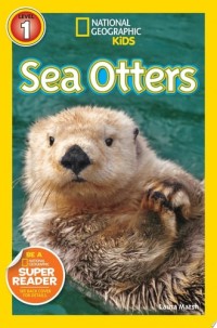 Image of Sea Otters
