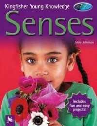 Image of Senses
