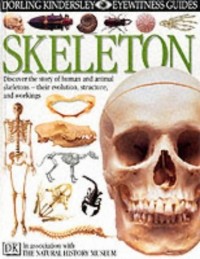 Image of Skeleton