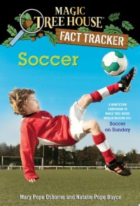 Image of Soccer