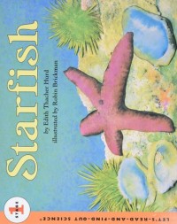 Image of Starfish