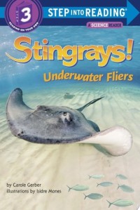 Image of Stingrays! Underwater Fliers