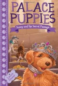 Image of Sunny and the secret passage