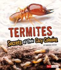 Image of Termites : secrets of their cozy colonies
