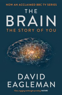 Image of The brain : the story of you