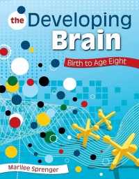 Image of The Developing Brain: Birth to Age Eight
