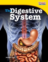 Image of The digestive system
