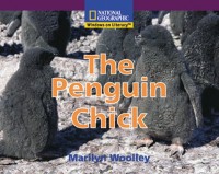 Image of The Penguin Chick