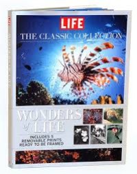 Image of The wonders of life