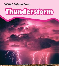 Image of Thunderstorm