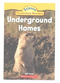Image of Underground homes
