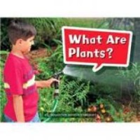 Image of What are plants?