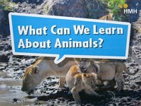 Image of What can we learn about animals? (GK Blue 9)