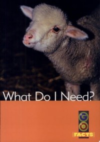 Image of What do I need?