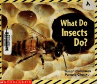Image of What Do Insect Do?