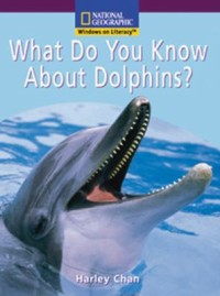 Image of What Do You Know About Dolphins?