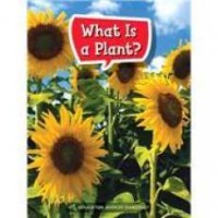 Image of What is a plant?