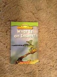Image of What is an insect?