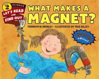 Image of What Makes A Magnet?