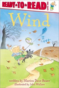 Image of Wind