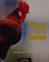 Image of Wings and things